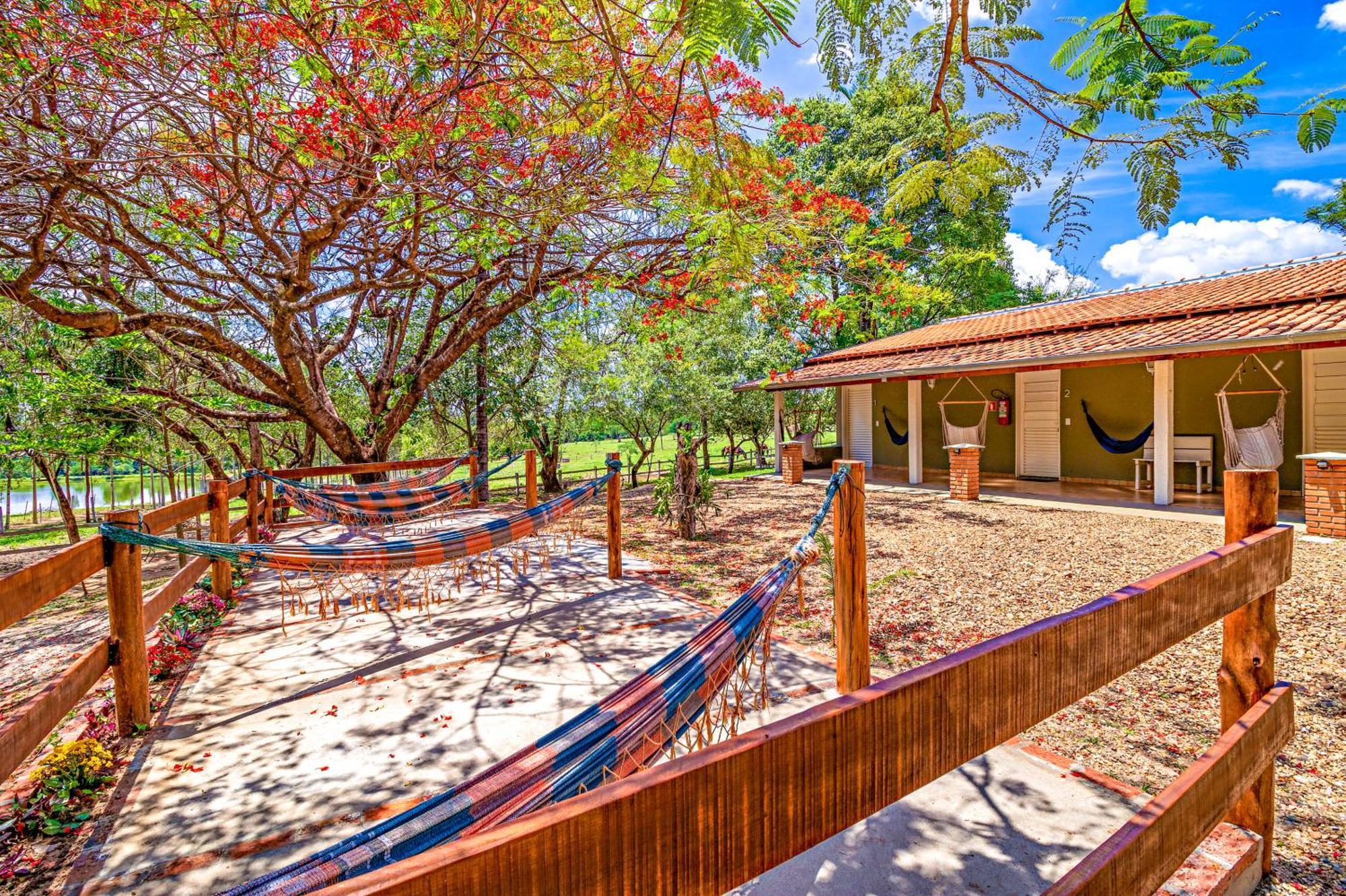 Palmeiras Fazenda Country house
